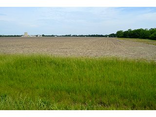 Property photo 19 - FARM & LAND AUCTION - 125+/- ACRES OFFERED IN 5 TRACTS IN EAST ALLEN COUNTY, INDIANA